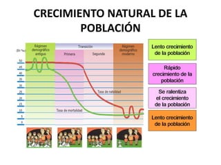 CRECIMIENTO NATURAL DE LA 
POBLACIÓN 
 
