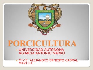 PORCICULTURA
    UNIVERSIDAD AUTONOMA
     AGRARIA ANTONIO NARRO

    M.V.Z. ALEJANDRO ERNESTO CABRAL
     MARTELL
 