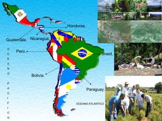 Brasil. Bolivia. Paraguay. Perú. Guatemala. Honduras. Nicaragua. O C E A N O P A C I F I C O OCEANO ATLANTICO