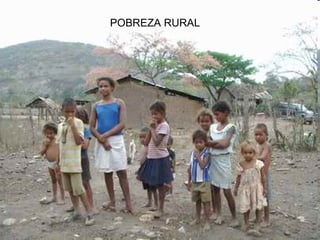 POBREZA RURAL 