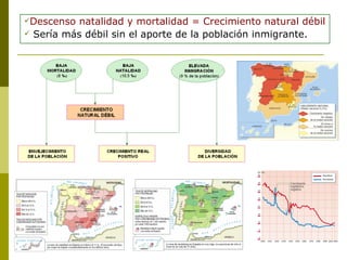 Descenso natalidad y mortalidad = Crecimiento natural débil Sería más débil sin el aporte de la población inmigrante. 