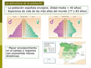 La población española envejece. (Edad media > 40 años) Esperanza de vida de las más altas del mundo (77 y 83 años) La estructura de la población Mayor envejecimiento en el campo y regiones con economías menos dinámicas. 
