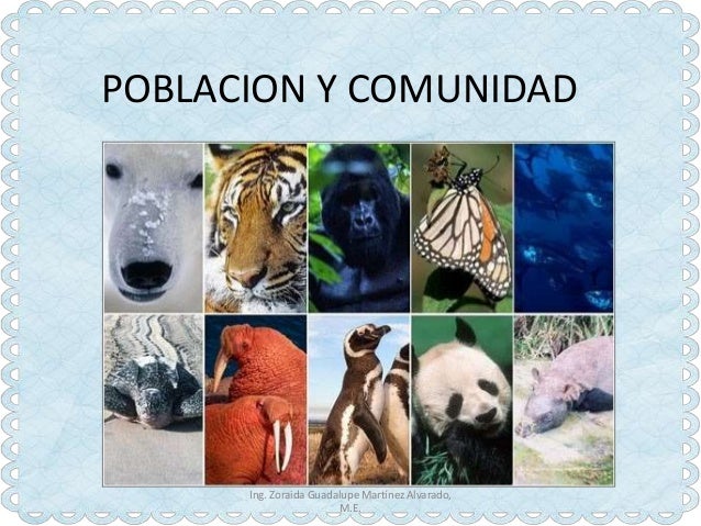 Poblacion y comunidad