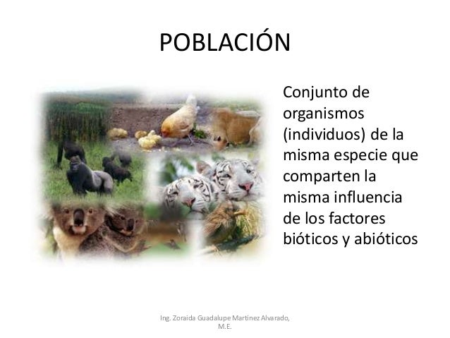 Poblacion y comunidad