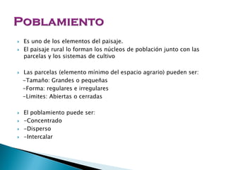  Es uno de los elementos del paisaje.
 El paisaje rural lo forman los núcleos de población junto con las
parcelas y los sistemas de cultivo
 Las parcelas (elemento mínimo del espacio agrario) pueden ser:
-Tamaño: Grandes o pequeñas
-Forma: regulares e irregulares
-Limites: Abiertas o cerradas
 El poblamiento puede ser:
 -Concentrado
 -Disperso
 -Intercalar
 