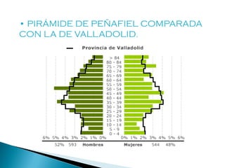 • PIRÁMIDE DE PEÑAFIEL COMPARADA
CON LA DE VALLADOLID.
 