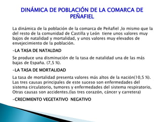 DINÁMICA DE POBLACIÓN DE LA COMARCA DE
PEÑAFIEL
La dinámica de la población de la comarca de Peñafiel ,lo mismo que la
del resto de la comunidad de Castilla y León tiene unos valores muy
bajos de natalidad y mortalidad, y unos valores muy elevados de
envejecimiento de la población.
-LA TASA DE NATALDAD
Se produce una disminución de la tasa de natalidad una de las más
bajas de España. (7,5 %).
-LA TASA DE MORTALIDAD
La tasa de mortalidad presenta valores más altos de la nación(10,5 %).
Las tres causas principales de este suceso son enfermedades del
sistema circulatorio, tumores y enfermedades del sistema respiratorio,
Otras causas son accidentes.(las tres corazón, cáncer y carretera)
-CRECIMIENTO VEGETATIVO NEGATIVO
 