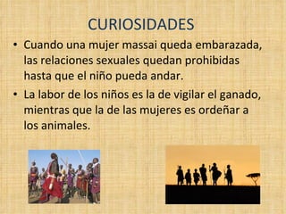 CURIOSIDADES Cuando una mujer massai queda embarazada, las relaciones sexuales quedan prohibidas hasta que el niño pueda andar. La labor de los niños es la de vigilar el ganado, mientras que la de las mujeres es ordeñar a los animales. 
