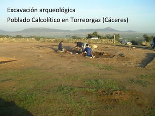 Excavación arqueológica
Poblado Calcolítico en Torreorgaz (Cáceres)
 
