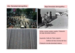 Alta Densidad demográfica           Baja Densidad demográfica




                            Arriba: zonas rurales: pueblo. Población
                            de baja densidad relativa


                            Izquierda: Calle de Tokio (Japón)
                                      Edificio de Seul (Corea del Sur)
                            Población de alta densidad relativa.
 