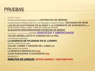 PRUEBAS
 Geográfica : (lugar)
 Cercanía entre Asia y américa por el ESTRECHO DE BERING
 La península de Alaska (EE.UU.) y la chukotsy o chukchi (Rusia ) DISTANCIA DE 90KM
 LAS ISLAS ALEUTIANAS EN ALASKA Y LA CORRIENTE DE KUROSHIVO que
recorre entre corea y Japón hasta las costas de Canadá
 GLACIACON WISCONSIN-WURN ESTRECHO DE BERING
 Antropológica: (semejanzas físicas) ENTRE ASIATICOS Y AMERICANOS
 COLOR AMARILLENTO O COBRIZO DE LA PIEL
 Los pómulos salientes
 LA AUSENCIA DE PILOSIDAD EN EL CUERPO
 Forma y color de los ojos
 COLOR ,FORMA Y GROSOR DEL CABELLO
 Baja estatura promedio
 LA MANCHA MONGOLICA imp.
 OJOS RASGADIOS O ACHINADOS imp
 LINGUISTICAS
 SIMILITUD DE LENGUAS :ENTRE NADENE Y SINOTIBETANO
 