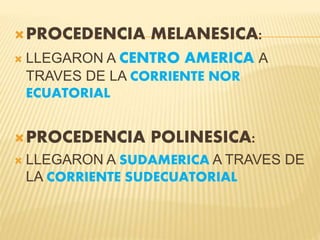 PROCEDENCIA MELANESICA:
 LLEGARON A CENTRO AMERICA A
TRAVES DE LA CORRIENTE NOR
ECUATORIAL
PROCEDENCIA POLINESICA:
 LLEGARON A SUDAMERICA A TRAVES DE
LA CORRIENTE SUDECUATORIAL
 