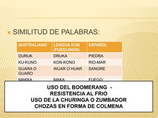  SIMILITUD DE PALABRAS:
AUSTRALIANO LENGUA KON
(FUEGUINOS)
ESPAÑOL
DURUK DRUKA PIEDRA
KU-KUNO KON-KONO RIO-MAR
GUARA O
GUARO
WUAR O HUAR SANGRE
MAKKA MAKA FUEGO
USO DEL BOOMERANG -
RESISTENCIA AL FRIO
USO DE LA CHURINGA O ZUMBADOR
CHOZAS EN FORMA DE COLMENA
 