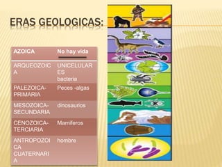ERAS GEOLOGICAS:
AZOICA No hay vida
ARQUEOZOIC
A
UNICELULAR
ES
bacteria
PALEZOICA-
PRIMARIA
Peces -algas
MESOZOICA-
SECUNDARIA
dinosaurios
CENOZOICA-
TERCIARIA
Mamiferos
ANTROPOZOI
CA
CUATERNARI
A
hombre
 