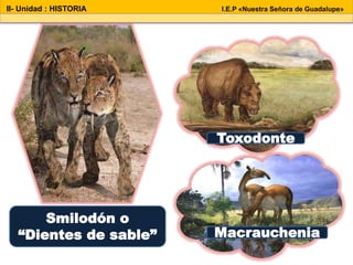 Smilodón o
“Dientes de sable” Macrauchenia
Toxodonte
II- Unidad : HISTORIA I.E.P «Nuestra Señora de Guadalupe»
 
