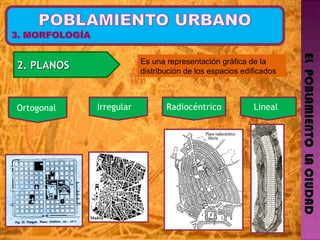 EL  POBLAMIENTO  LA CIUDAD 2. PLANOS  Ortogonal  Es una representación gráfica de la distribución de los espacios edificados Irregular  Radiocéntric o   Lineal  