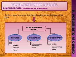 EL  POBLAMIENTO  LA CIUDAD Según el modo en que se distribuye la población se distinguen tres tipos POBLAMIENTO RURAL INTERCALAR GRANJA CASERÍO ALDEA Edificios aislados entre núcleo rurales LINEAL CONCENTRADO RADIAL DISPERSO CONCENTRADO 