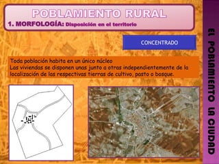 EL  POBLAMIENTO  LA CIUDAD CONCENTRADO Toda población habita en un único núcleo   Las viviendas se disponen unas junto a otras independientemente de la localización de las respectivas tierras de cultivo, pasto o bosque .  