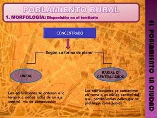 EL  POBLAMIENTO  LA CIUDAD CONCENTRADO Según su forma de plano LINEAL RADIAL O  CENTRALIZADO Las edificaciones se ordenan a lo largo y a ambos lados de un eje central: vía de comunicación Las edificaciones se concentran en torno a un núcleo central del que  parten varias calles que se prolongan como radios 