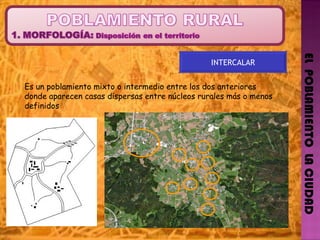 EL  POBLAMIENTO  LA CIUDAD INTERCALAR Es un poblamiento mixto o intermedio entre los dos anteriores donde aparecen casas dispersas entre núcleos rurales más o menos definidos 