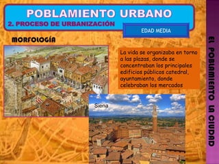 EL  POBLAMIENTO  LA CIUDAD EDAD MEDIA MORFOLOGÍA La vida se organizaba en torno a las plazas, donde se concentraban los principales edificios públicos catedral, ayuntamiento, donde celebraban los mercados Siena  