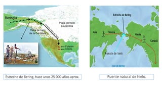 Estrecho de Bering, hace unos 25 000 años aprox. Puente natural de hielo.
 