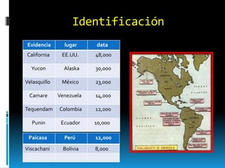 Identificación
Evidencia lugar data
California EE.UU. 48,000
Yucon Alaska 30,000
Velasquillo México 23,000
Camare Venezuela 14,000
Tequendam Colombia 12,000
Punin Ecuador 10,000
Paicasa Perú 12,000
Viscachani Bolivia 8,000
 