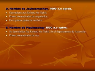 D. Hombre de Jayhuamachay. 4600 a.c aprox.
 Descubierto por Richard Mc Neish.
 Primer domesticador de auquénidos.
 Es el primer pastor de América.
E. Hombre de Piquimachay 3500 a.c aprox.
 Su descubridor fue Richard Mc Neish. En el departamento de Ayacucho.
 Primer domesticador de cuy.
 