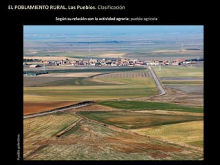 EL POBLAMIENTO RURAL. Los Pueblos. Clasificación
Según su relación con la actividad agraria: pueblo agrícolaPueblopalentino.
 