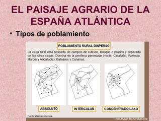 EL PAISAJE AGRARIO DE LA 
ESPAÑA ATLÁNTICA 
• Tipos de poblamiento 
 