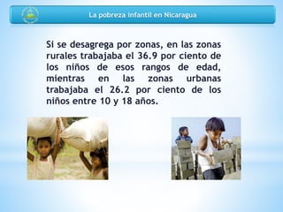 Si se desagrega por zonas, en las zonas
rurales trabajaba el 36.9 por ciento de
los niños de esos rangos de edad,
mientras en las zonas urbanas
trabajaba el 26.2 por ciento de los
niños entre 10 y 18 años.
La pobreza infantil en Nicaragua
 