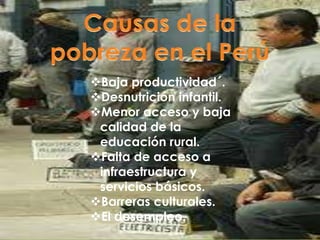 Baja productividad´.
Desnutrición infantil.
Menor acceso y baja
calidad de la
educación rural.
Falta de acceso a
infraestructura y
servicios básicos.
Barreras culturales.
El desempleo.
 