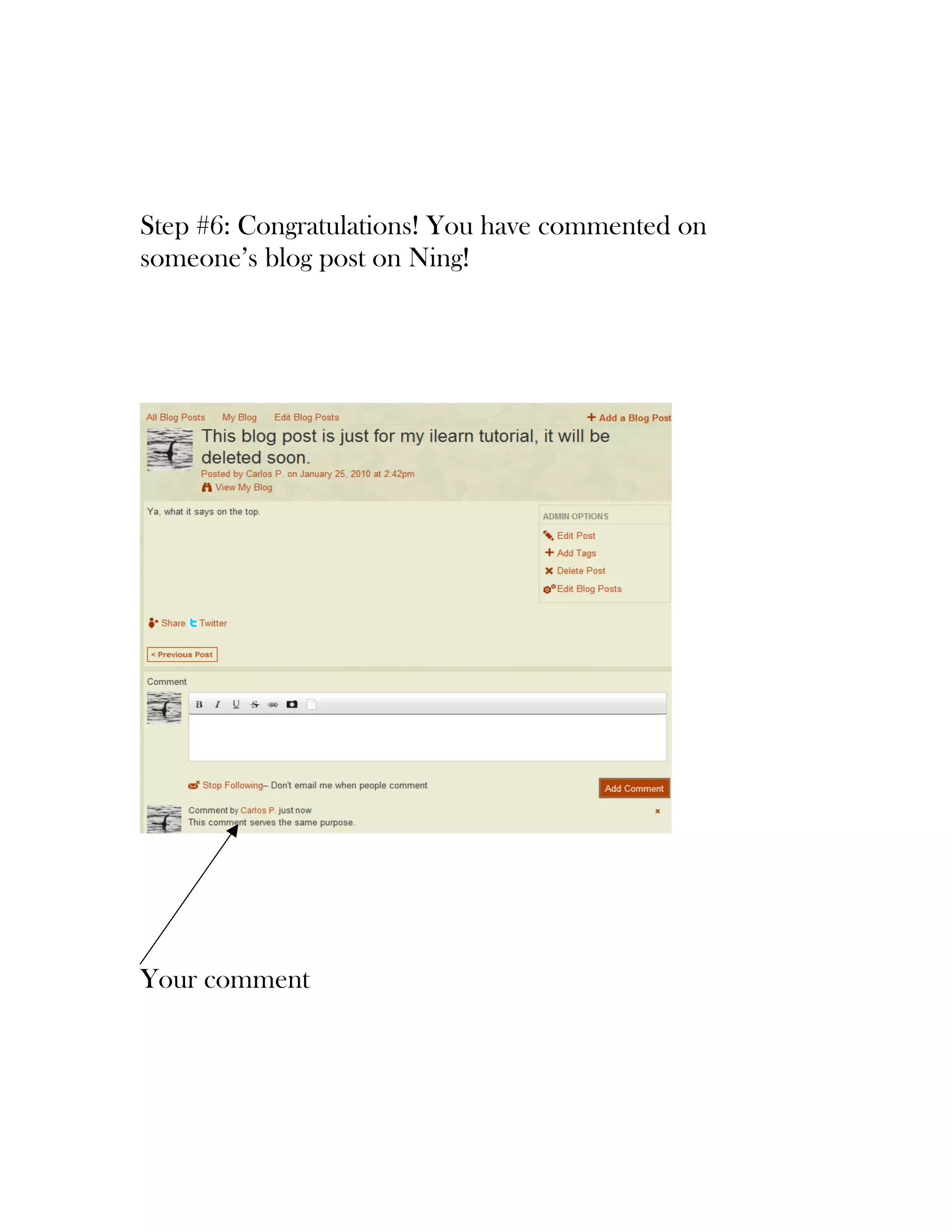 Step #6: Congratulations! You have commented on
someone’s blog post on Ning!




Your comment
 