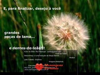 Ria Slides E, para finalizar, desejo à você grandes  poças de lama... e dentes-de-leão!!! Autor do Slide: Ria Ellwanger  [email_address]   Autor do Texto: Desconheço, é uma tradução de Sergio Barros  Música: João Cabete - Anjinhos  Imagens:Webshots  Este slide é exclusivo de:  http://flori_jane.sites.uol.com.br/index.htm  www.mensagensvirtuais.com.br 