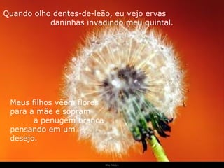Ria Slides Quando olho dentes-de-leão, eu vejo ervas  daninhas invadindo meu quintal. Meus filhos vêem flores para a mãe e sopram  a penugem branca pensando em um  desejo. . 