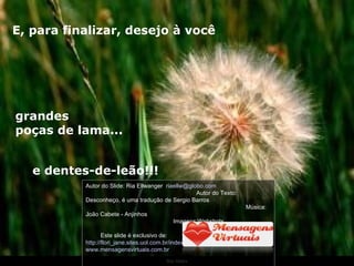 Ria Slides E, para finalizar, desejo à você grandes  poças de lama... e dentes-de-leão!!! Autor do Slide: Ria Ellwanger  [email_address]   Autor do Texto: Desconheço, é uma tradução de Sergio Barros  Música: João Cabete - Anjinhos  Imagens:Webshots  Este slide é exclusivo de:  http://flori_jane.sites.uol.com.br/index.htm www.mensagensvirtuais.com.br 