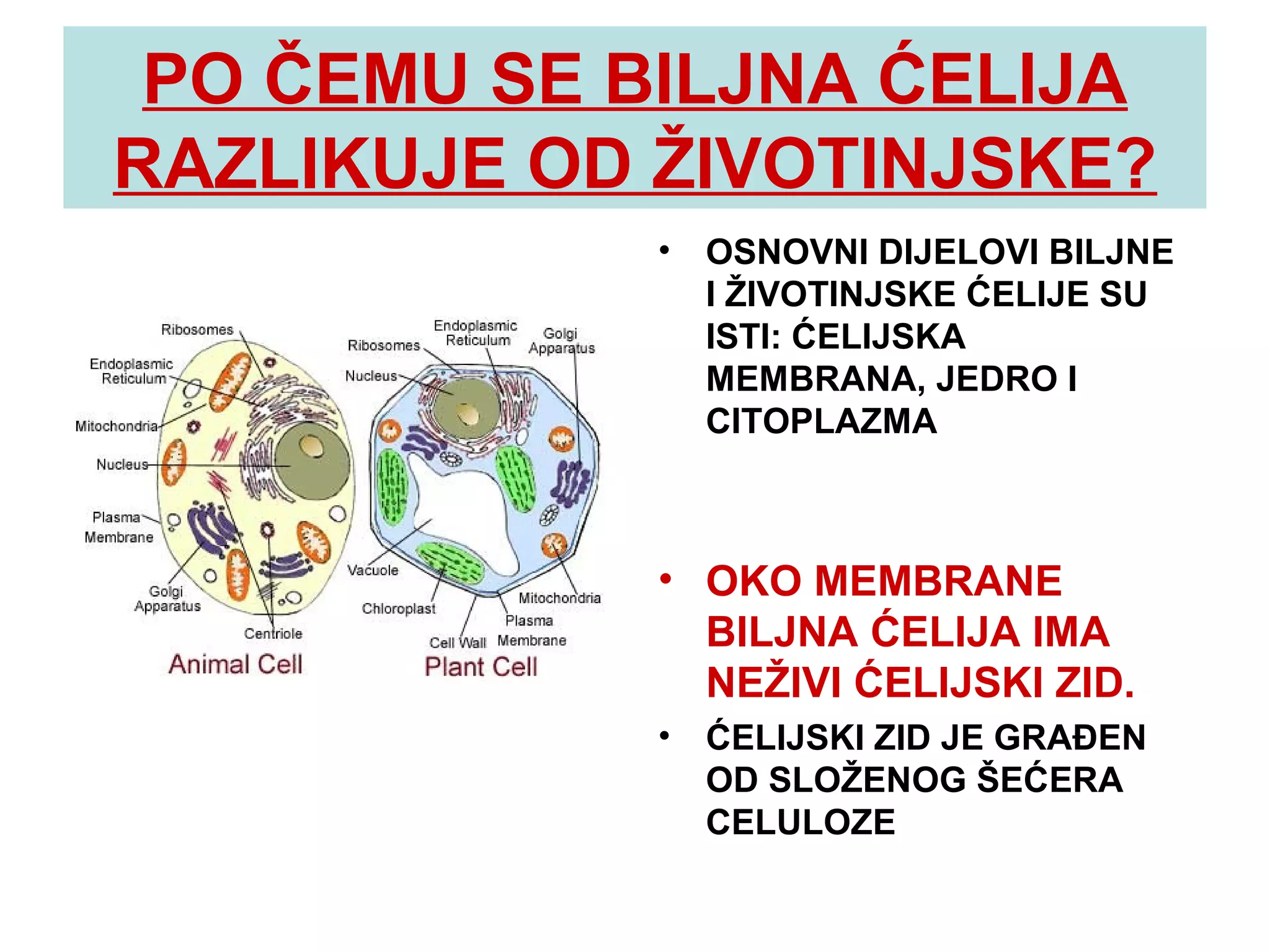 Biljna i životinjska ćelija | PPT