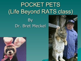 POCKET PETS (Life Beyond RATS class) By Dr. Bret Meckel 