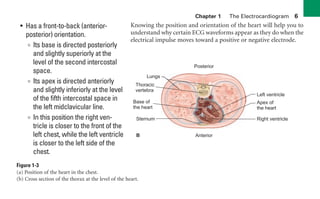 Chapter 1 The Electrocardiogram 6
• Has a front-to-back (anterior-
posterior) orientation.
∞ Its base is directed posteriorly
and slightly superiorly at the
level of the second intercostal
space.
∞ Its apex is directed anteriorly
and slightly inferiorly at the level
of the fifth intercostal space in
the left midclavicular line.
∞ In this position the right ven-
tricle is closer to the front of the
left chest, while the left ventricle
is closer to the left side of the
chest.
Knowing the position and orientation of the heart will help you to
understand why certain ECG waveforms appear as they do when the
electrical impulse moves toward a positive or negative electrode.
Left ventricle
Lungs
Base of
the heart
Thoracic
vertebra
Sternum Right ventricle
Apex of
the heart
Posterior
Anterior
B
Figure 1-3
(a) Position of the heart in the chest.
(b) Cross section of the thorax at the level of the heart.
sha19766_cp01.indd 6
sha19766_cp01.indd 6 7/24/06 1:19:43 PM
7/24/06 1:19:43 PM
 