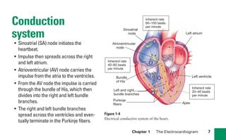 Chapter 1 The Electrocardiogram 7
Conduction
system
• Sinoatrial (SA) node initiates the
heartbeat.
• Impulse then spreads across the right
and left atrium.
• Atrioventricular (AV) node carries the
impulse from the atria to the ventricles.
• From the AV node the impulse is carried
through the bundle of His, which then
divides into the right and left bundle
branches.
• The right and left bundle branches
spread across the ventricles and even-
tually terminate in the Purkinje fibers.
1
2
4
3
Left atrium
Left ventricle
Apex
Bundle
of His
Atrioventricular
node
Sinoatrial
node
Left and right
bundle branches
Purkinje
fibers
Inherent rate
20–40 beats
per minute
Inherent rate
40–60 beats
per minute
Inherent rate
60–100 beats
per minute
Figure 1-4
Electrical conductive system of the heart.
sha19766_cp01.indd 7
sha19766_cp01.indd 7 7/24/06 1:19:43 PM
7/24/06 1:19:43 PM
 