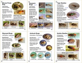 Pocket Guide of Natural Enemies - Laurel Moulton | PDF