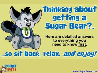 www.SugarBears.com
 