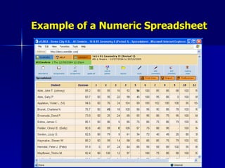 Example of a Numeric Spreadsheet 