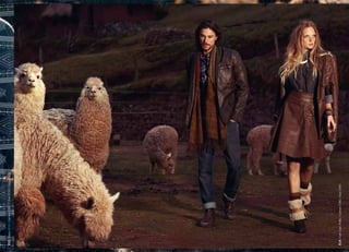 31   www.damyller.com.br   www.damyller.com.br   32
 