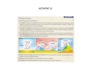 ACTIVITAT 11
 