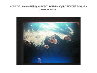 ACTIVITAT 15) CANÀRIES: QUINS VENTS FORMEN AQUEST NÚVOLS? DE QUINA
                           DIRECCIÓ VENEN?
 