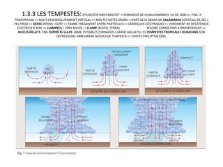 1.3.3 LES TEMPESTES: SITUACIÓ D’INESTABILITAT =>FORMACIÓ DE CUMULONIMBUS VA DE 1000 m. FINS A
TROPOPAUSA => MOLT DESENVOLUPAMENT VERTICAL => MOLTES GOTES GRANS =>PART ALTA GRANS DE CALAMARSA I CRISTALL DE GEL (
PEL FRED) => XÀFEC INTENS I CURT => TAMBÉ FREGAMENT ENTRE PARTÍCULES=> CÀRREGUES ELÈCTRIQUES => VENCIMENT DE RESISTÈNCIA
  ELÈCTRICA D’AIRE => LLAMPECS ( DINS NÚVOL ) I LLAMP (NÚVOL-TERRA).              SEGONS CONDICIONS ATMOSFÈRIQUES =>
  NUCLIS AÏLLATS FINS SUPERCÈL·LULES (AMB POSSIBLES TORNADOS I GRANS AIGUATS).LES TEMPESTES TROPICALS I HURACANS SÓN
                             DEPRESSIONS AMB GRANS NÚVOLS DE TEMPESTA => FORTES PRECIPITACIONS.
 