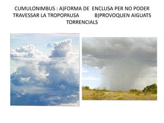 CUMULONIMBUS : A)FORMA DE ENCLUSA PER NO PODER
TRAVESSAR LA TROPOPAUSA      B)PROVOQUEN AIGUATS
                   TORRENCIALS
 