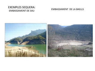 EXEMPLES SEQUERA:
                     EMBASSAMENT DE LA BAELLS
EMBASSAMENT DE SAU
 