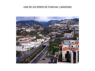 UNA DE LES RIERES DE FUNCHAL ( MADEIRA)
 